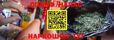тгк Абинск