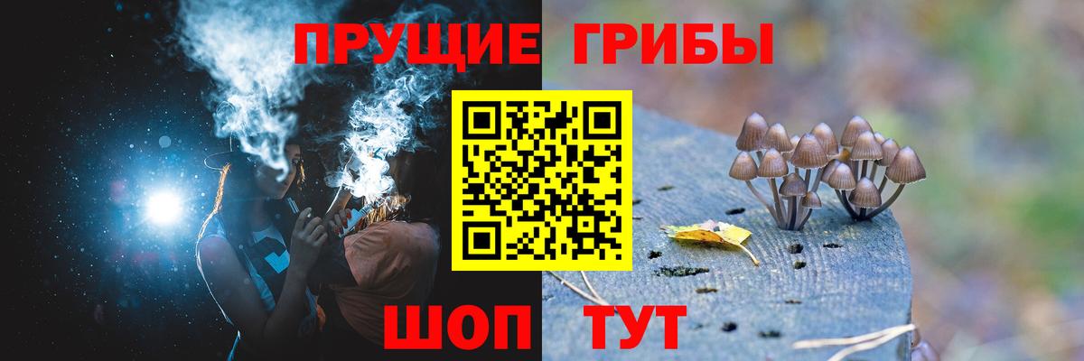 Галлюциногенные грибы MAGIC MUSHROOMS  даркнет сайт  Альметьевск  Вход с VPN  Псилоцибиновые грибы ЛСД 